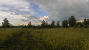 Дорога на Яр / Западная Сибирь, дневная съёмка, панорама 5 кадров