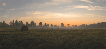Утро в поле / Западная Сибирь, Кемерово, утренняя съёмка