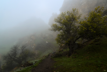 в заоблачном тумане / Кавказ, низкая облачность, высота 2600 м