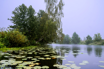 Перед осенью. / Озеро Рожок.