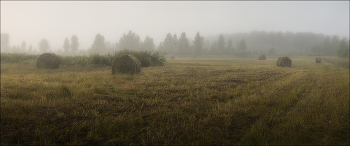 Пора сенокоса / Западная Сибирь, Кемерово, Утренняя съёмка, панорама 5 кадров