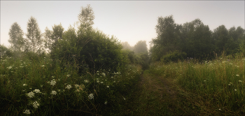 Дорога в туман / Западная Сибирь, Кемерово, Утренняя съёмка, панорама 5 кадров