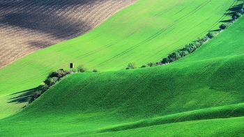 Моравия / Чешские поля