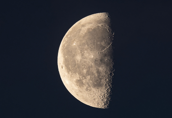 утренняя Луна / сегодня