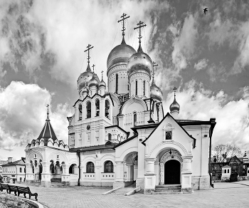 Зачатьевский монастырь / ***
