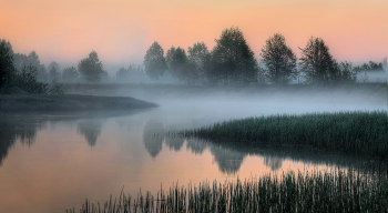 В тумане берега.. / Нижегородская область, река Керженец, июнь 2024 года