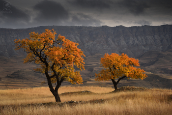"Танцы вдвоем" / Дагестан