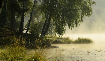 Утром туманным.......... / Петербург-Юкки. Сентябрь