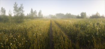 Утренняя дорога / Западная Сибирь, Кемерово, Утренняя съёмка, панорама 5 кадров