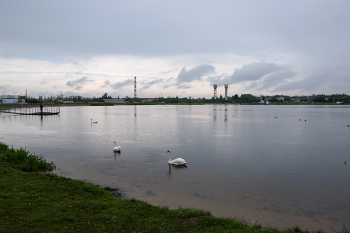 Дождь на пруду #2 / Пруд на окраине Витебска
