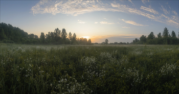 Утро в поле / Западная Сибирь, Кемерово, Утренняя съёмка, панорама 5 кадров