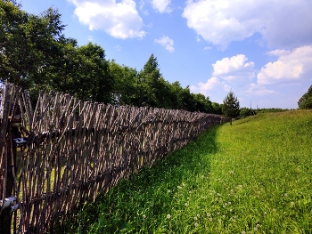 Забор из хвороста / район в близи деревни Даурское Балахтинского района