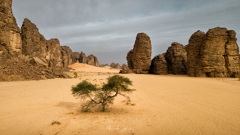 Elephant Rock Valley / Центральная Сахара