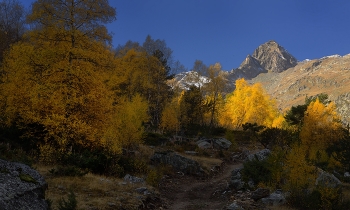 Утро в горах Кавказа / Осень в Узунколе
