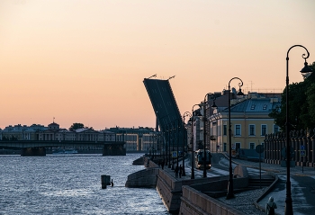 Литейный мост / ***
