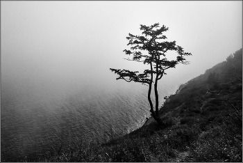 По байкальским берегам. / Байкал в районе Листвянки, лето, туман.