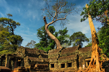 Храм Та Пром / Камбоджа. Сием Риеп. Храмовый комплекс Ангкор-Ват