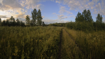 Лесными дорогами / Западная Сибирь, Кемерово, Вечерняя съёмка, панорама 5 кадров