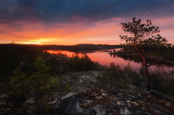 На рассветной поре... / Национальный парк "Ладожские шхеры" 12 июня 2024