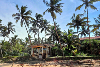 На побережье после урагана / На побережье после урагана