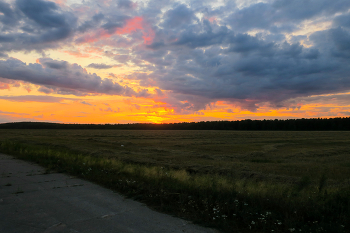 Осенние заказы / Вечерняя прогулка