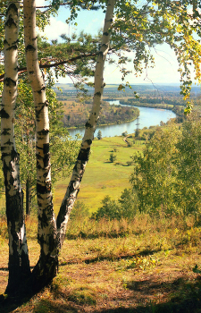 В пойме Иркута / 90 -года Фотоплёнка AGFA VISTA - 100