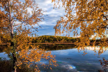 Осеннее золото / Уральская природа