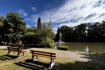 Тихо в парке. На озере /Der Tierpark am Röhrensee - Bayreuths lebendiger Süden/ / Тихо в парке. На озере /Der Tierpark am Röhrensee - Bayreuths lebendiger Süden/.