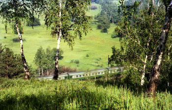 В летний день / 90 - е года цв. фотоплёнка