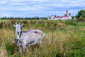 Ярославская пастораль... / ***