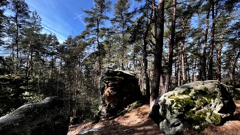 Вот и наступила осень золотая. Сентябрь и желтые листья. &quot;The Natural World&quot; Мир Природы / Вот и наступила осень золотая. Сентябрь и желтые листья. &quot;The Natural World&quot; Мир Природы