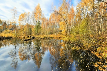 Безветренный день ... / ***