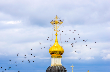 Владимир осенний. / ***