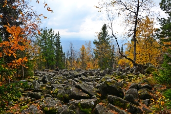 На склонах Косьвинского Камня. / Осень на Северном Урале.