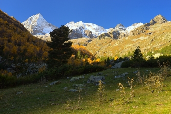 Осеннее утро / Узункол