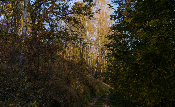 На пригорке. / ***