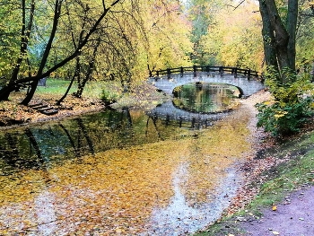 Мост / Парк Екатерингоф