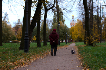 мудрость и верность / ***