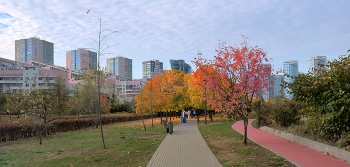 Осень в Хамовниках / Москва, Хамовники