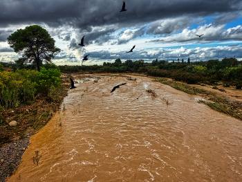 &nbsp; / Rio desbordado - inundaciones