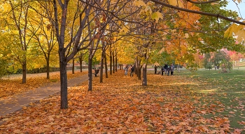 Дни золотые / Москва, Хамовники