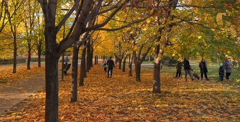 Золотые недолгие дни / Москва, Хамовники