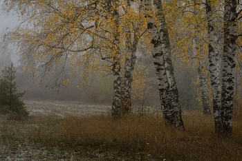 Осеннее утро / Уходящая осень