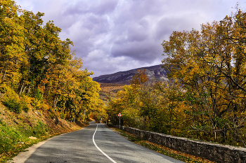 Осенняя дорога / Крым. Дорога в поселок Лучистое (Алушта)