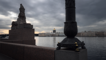 Рассвет над Невой (Петербургские ракурсы) / Санкт-Петербург, на Университетской набережной