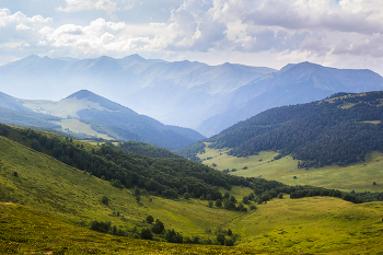 На лугах / ...