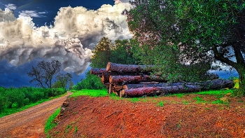 &nbsp; / Montblanc - camí del pont de les Bruixes - Conca de Barberà