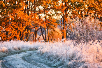 Хрустальное утро / ***