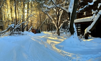 морозное утро / утро