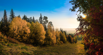 Желтая, красная осень / Уральская природа